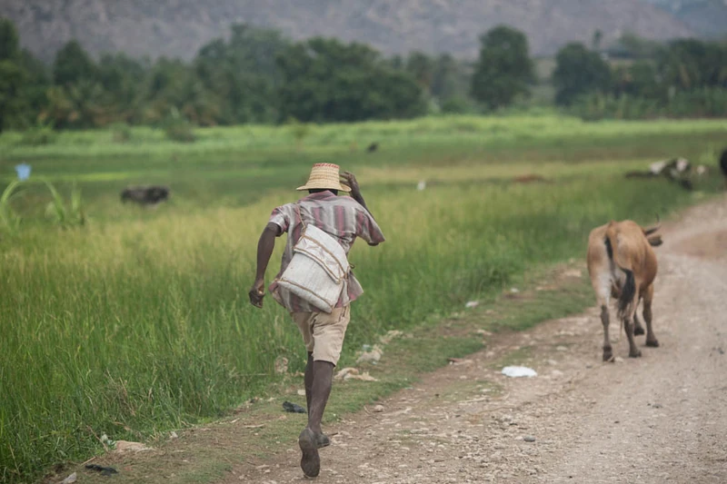Country road in Thomazeau