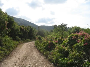 The Lacolline Road near Source Blanche