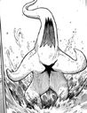 Naputaaku