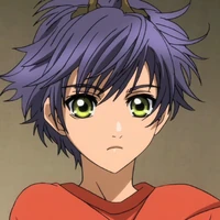 Shino Inuzuka Hakkenden TÅhÅ Hakken Ibun Wiki Fandom Does shino battle in the chunin exams? shino inuzuka hakkenden tÅhÅ hakken