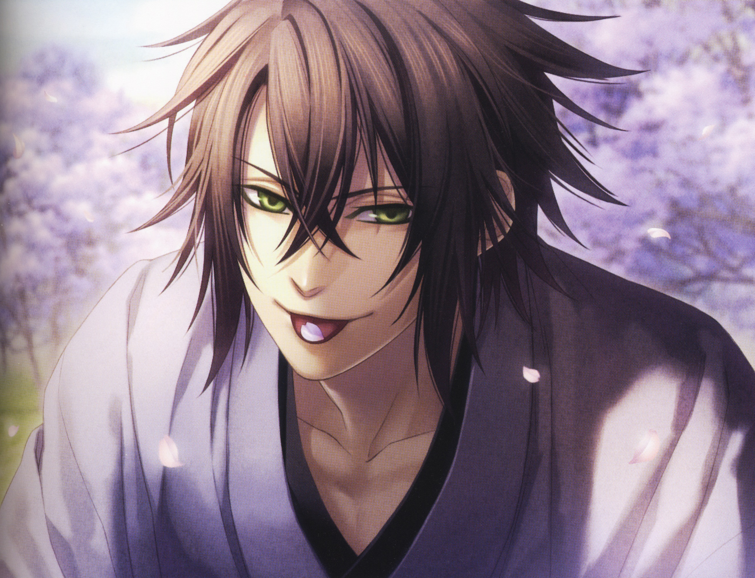 Hakuōki Shinkai: Tsukikage no Shou (Limited Edition
