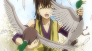 Heisuke catches ducks
