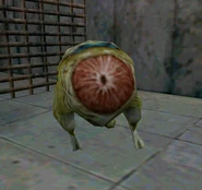 Houndeye eyelid1.jpg (296 KB) Moving eyelids before a sonic attack.