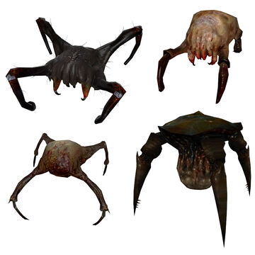 headcrab half life wiki fandom