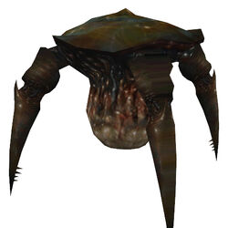category xen creatures half life wiki