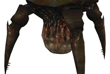 half life 2 headcrab