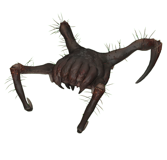 half life 2 headcrab