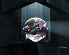 Breen inside the sphere in the Citadel's Dark Fusion Reactor.