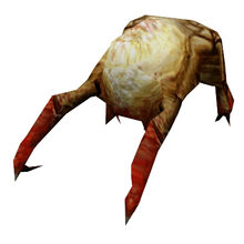 Xen Half Life Wiki Fandom