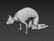 Alyx's Cat Model (Repo)