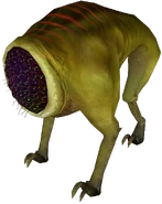 Houndeye mi.png (285 KB) Missing Information model.