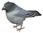 Half-Life 2 pigeon model.