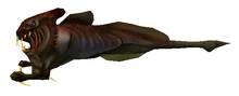 Ichthyosaur