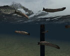 Leeches in Half-Life 2.