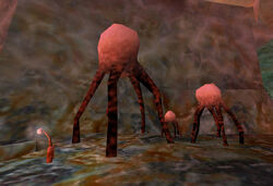 Xen, Half-Life Wiki