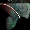 Bottom.jpg (11 KB) Early bottom texture.