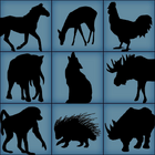 Animal shapes used for calibration.