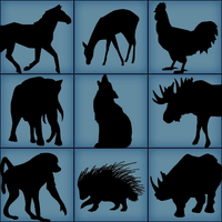 The animal shapes used for calibration.