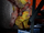 Jeff-side-image.PNG