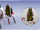 Portal 2 turret slices.jpg