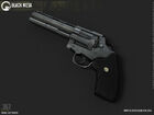 BMS Magnum beauty.jpg (55 KB) Colt Python.