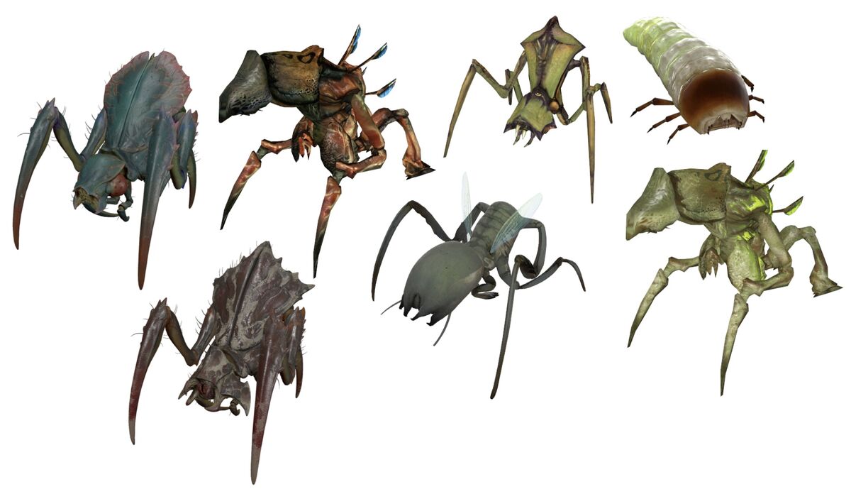 Antlion | Half-Life Wiki | Fandom