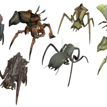 antlion half life wiki fandom