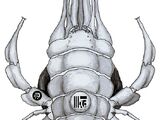 Sacktick