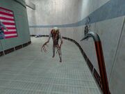 Zombie hallway Half Life