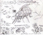 Concept art of a variant of the Snark which should have exploded on the player like a grenade