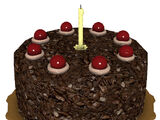 Cake