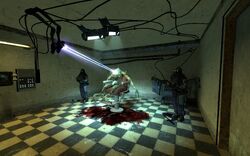 half life 2 nova prospekt guide
