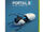 Portal 2 Xbox 360 Cover 22.jpg