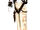 Aleph 1.jpg