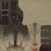 The textures that was leaked in the 2003 Repo Leak