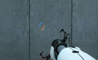 The second crosshair, featuring both colors.