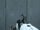 Portal crosshair both colors.jpg