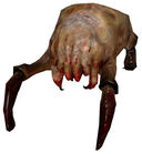 Standard Headcrab model, without eyes.