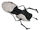 Portal Gun w.jpg