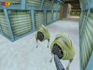 Early Houndeye in Black Mesa 2 Half Life Beta.jpg (39 KB) Early Houndeyes and early Glock.