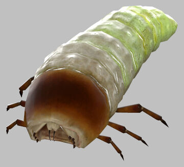 Antlion Grub | Half-Life Wiki | Fandom