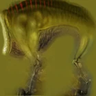 Houndeye-body.png (838 КБ) Оригинальная текстура из Half-Life 2.