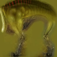 Houndeye-body.png (838 KB) Half-Life 2 Beta model, body texture.