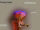 Flocking floater.jpg