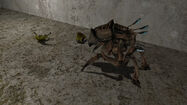 Houndeyes defending themselves against a Antlion Guard in map guard3.