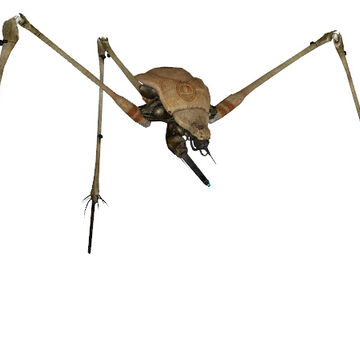 strider half life wiki fandom