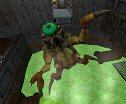 pit worm half life wiki fandom