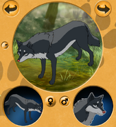 Wolf form redesign by Venom. Made on BBA Character Creator on DeviantART. All credit is given to the creator of the game.