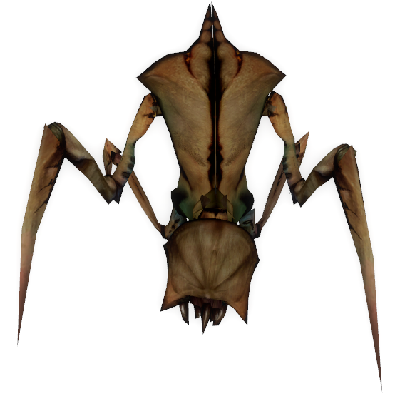 antlion half life 2 antlion half life 2