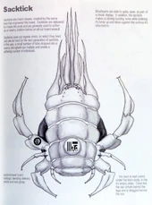 Концепт-арт сактика.